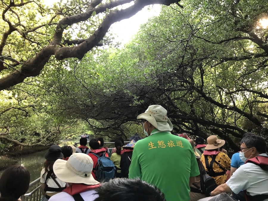 台南景點/四草綠色隧道:船班時間、門票預約資訊、交通方式、旅遊行程規劃